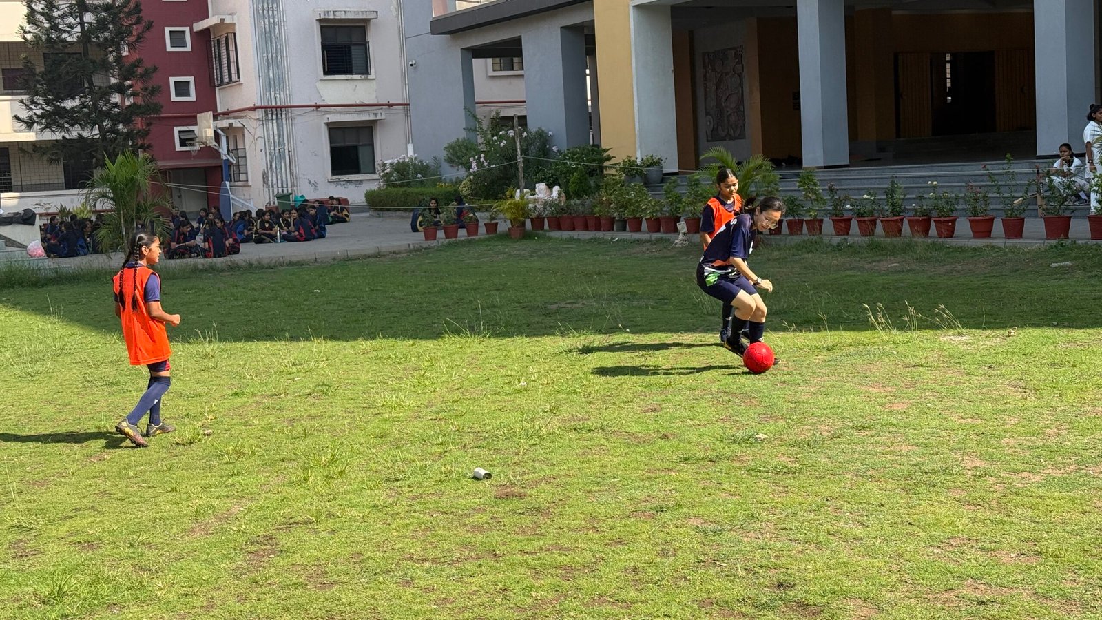 undergraduate education