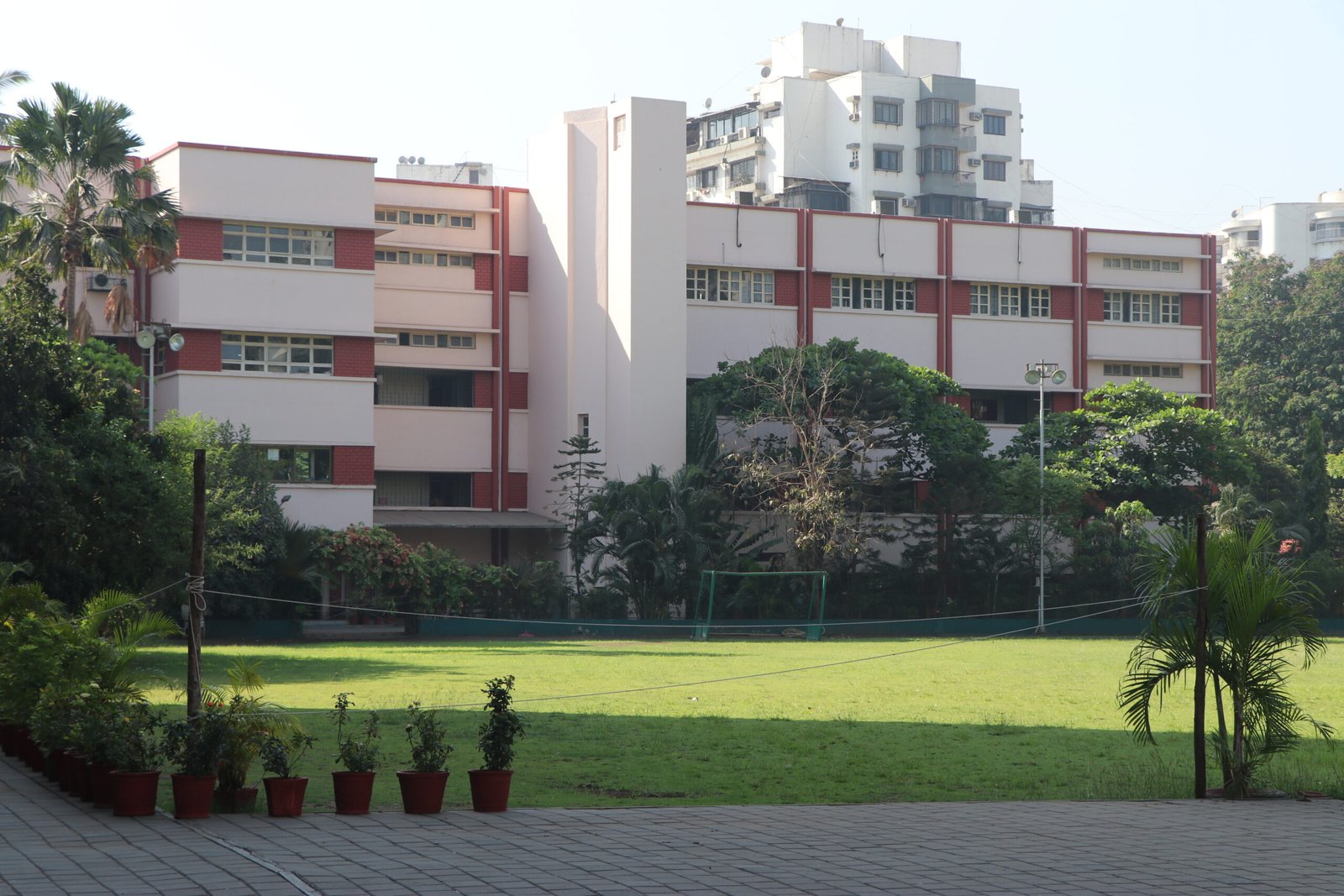 undergraduate education