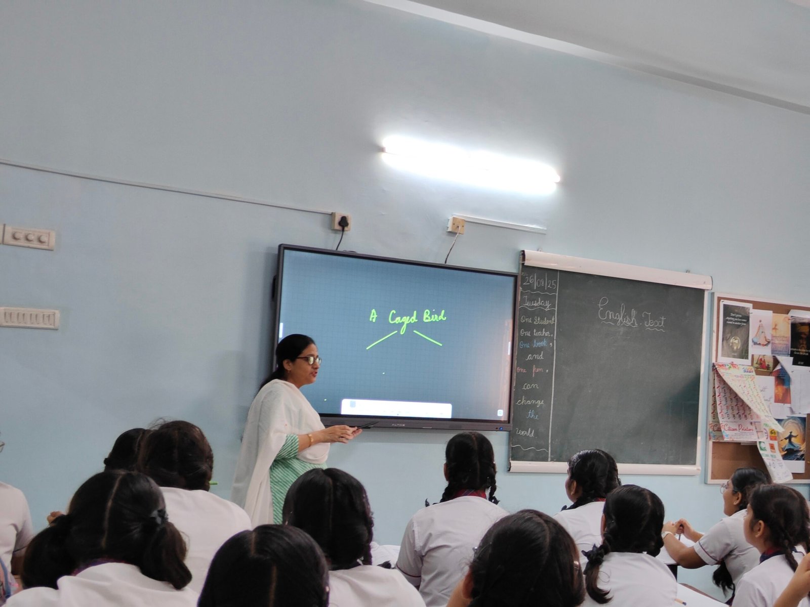 undergraduate education